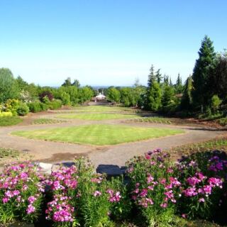 No Ticket Booth and No Crowds Wait at This Free 80-Acre Oregon Garden