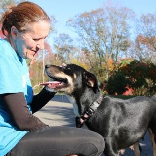 You Can Volunteer at These 9 Massachusetts Rescues and Spend the Day Making a Real Difference for Animals
