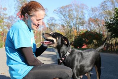You Can Volunteer at These 9 Massachusetts Rescues and Spend the Day Making a Real Difference for Animals