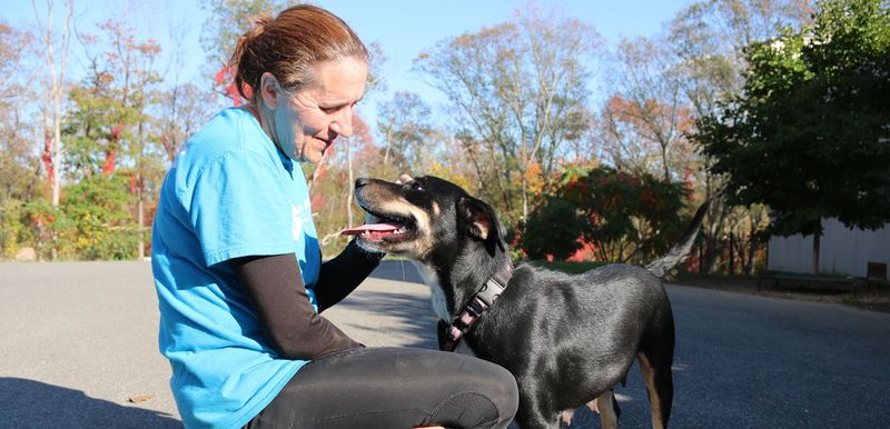 You Can Volunteer at These 9 Massachusetts Rescues and Spend the Day Making a Real Difference for Animals
