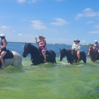 This Florida Farm Lets You Ride Horses Right Into the Water Like a Scene From a Movie
