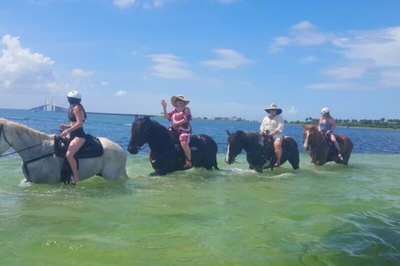 This Florida Farm Lets You Ride Horses Right Into the Water Like a Scene From a Movie