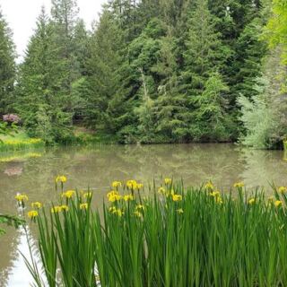 This Free Oregon Abbey Lets You Wander Quiet Gardens And Take Home Bread The Monks Bake By Hand
