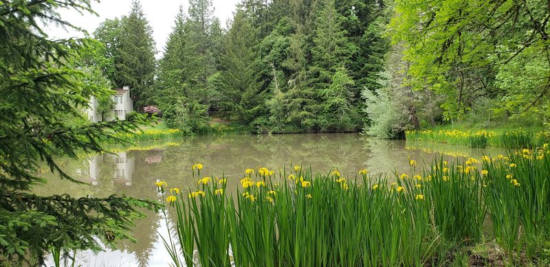 This Free Oregon Abbey Lets You Wander Quiet Gardens And Take Home Bread The Monks Bake By Hand