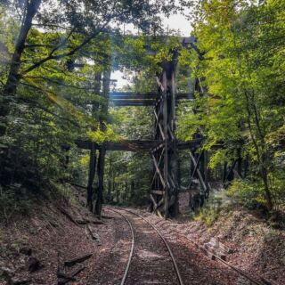 This Tennessee Scenic Railroad Takes You Through the Hiwassee River Gorge on a Restored Vintage Train