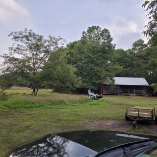 You Hand-Pick Your Own Blueberries at This Family Farm in Aynor, South Carolina