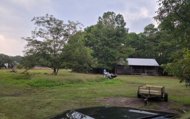 You Hand-Pick Your Own Blueberries at This Family Farm in Aynor, South Carolina
