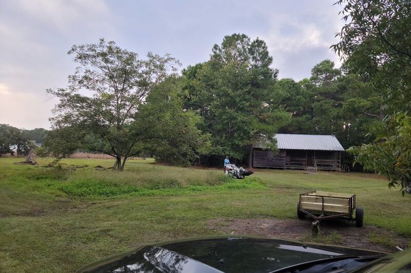 You Hand-Pick Your Own Blueberries at This Family Farm in Aynor, South Carolina