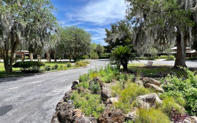A Millionaire Handed a Small Florida Town 300 Acres in 1911, and You Still Wander It Free