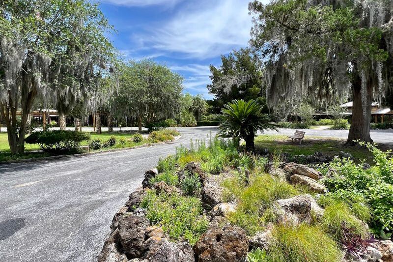 A Millionaire Handed a Small Florida Town 300 Acres in 1911, and You Still Wander It Free