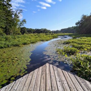 This Massachusetts Sanctuary Sends A Boardwalk Out Over The Wetlands Where Turtles And Birds Gather Close By