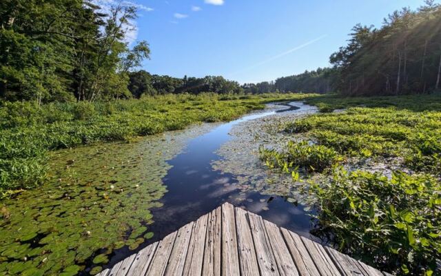 This Massachusetts Sanctuary Sends A Boardwalk Out Over The Wetlands Where Turtles And Birds Gather Close By