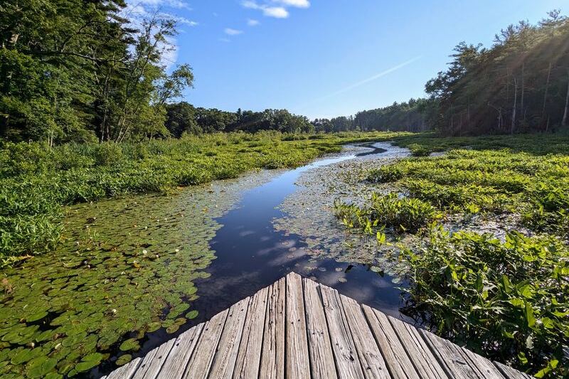 This Massachusetts Sanctuary Sends A Boardwalk Out Over The Wetlands Where Turtles And Birds Gather Close By