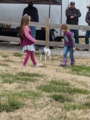 Milk a Goat and Bottle-Feed the Babies at This Family Dairy Near Guthrie, Oklahoma