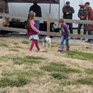 Milk a Goat and Bottle-Feed the Babies at This Family Dairy Near Guthrie, Oklahoma