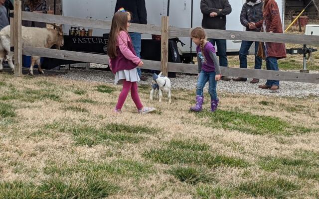 Milk a Goat and Bottle-Feed the Babies at This Family Dairy Near Guthrie, Oklahoma