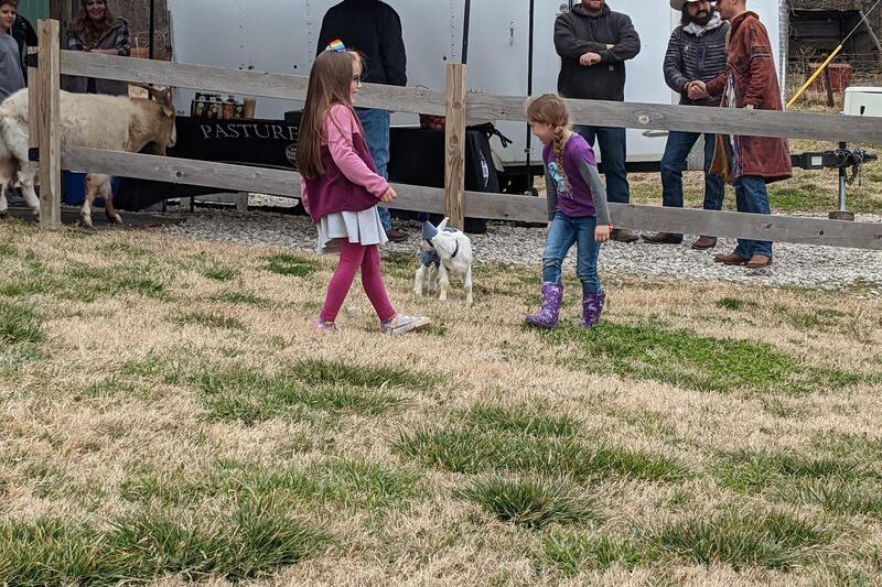 Milk a Goat and Bottle-Feed the Babies at This Family Dairy Near Guthrie, Oklahoma