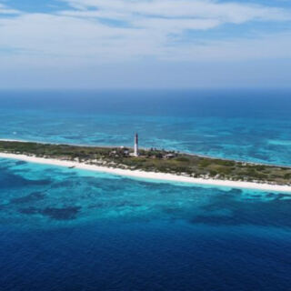 Florida Has America’s Only Living Barrier Reef, and You Can Swim Right Into the Tropical Color