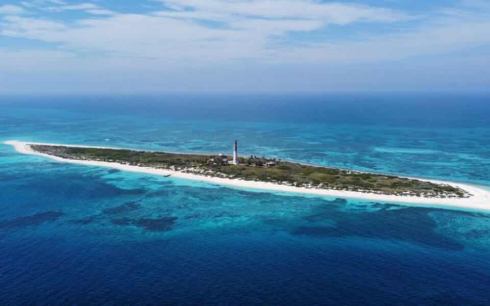 Florida Has America’s Only Living Barrier Reef, and You Can Swim Right Into the Tropical Color