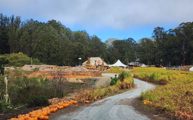 Hop on Arnold’s Farm Fresh Hayride and Pick Your Own Pumpkins at This Half Moon Bay Patch in California