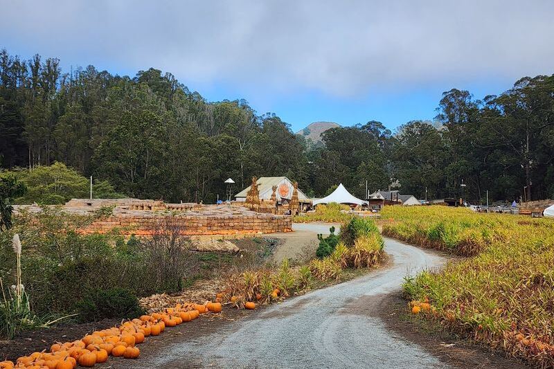 Hop on Arnold’s Farm Fresh Hayride and Pick Your Own Pumpkins at This Half Moon Bay Patch in California