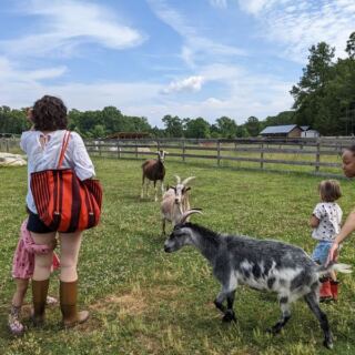 8 North Carolina Animal Sanctuaries Where Rescued Animals Greet You at the Gate