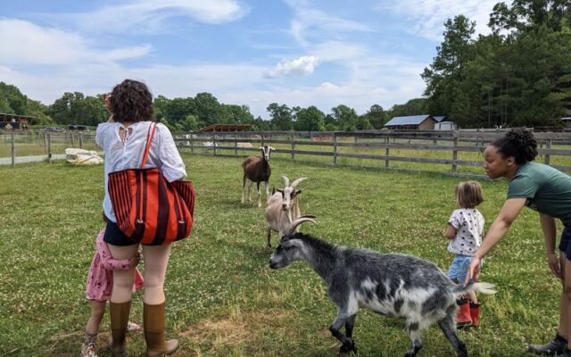 8 North Carolina Animal Sanctuaries Where Rescued Animals Greet You at the Gate
