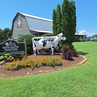 Locals Have Guarded This Tennessee Cheese Shop for Decades, and One Taste Shows Why