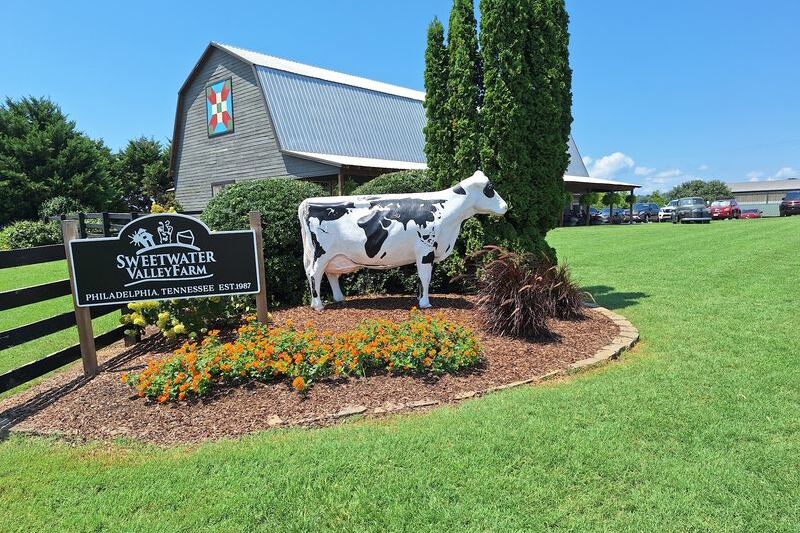Locals Have Guarded This Tennessee Cheese Shop for Decades, and One Taste Shows Why