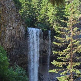 This Easy Oregon River Walk Reaches a Waterfall in Just 1.5 Miles With No Steep Climbs