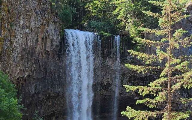 This Easy Oregon River Walk Reaches a Waterfall in Just 1.5 Miles With No Steep Climbs