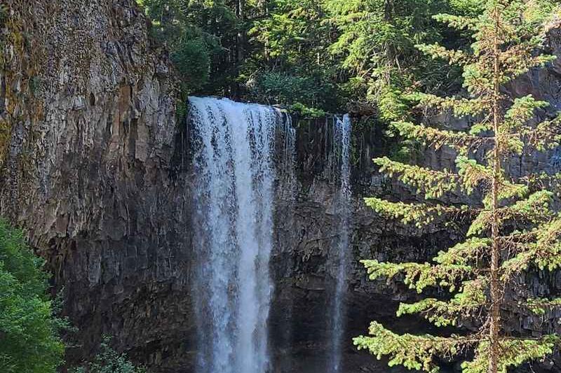 This Easy Oregon River Walk Reaches a Waterfall in Just 1.5 Miles With No Steep Climbs