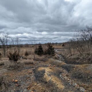This Reclaimed Illinois Strip Mine Is Now A State Preserve Where You Dig Up 300-Million-Year-Old Fossils