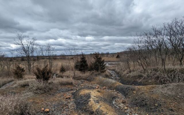 This Reclaimed Illinois Strip Mine Is Now A State Preserve Where You Dig Up 300-Million-Year-Old Fossils