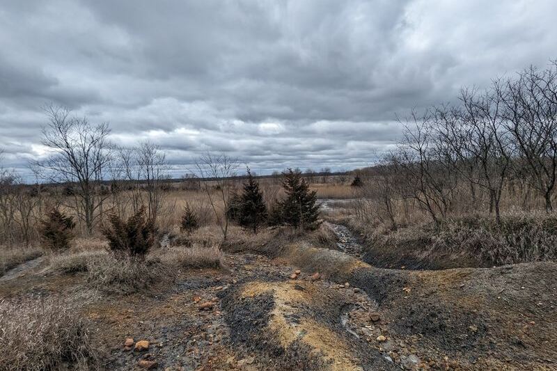 This Reclaimed Illinois Strip Mine Is Now A State Preserve Where You Dig Up 300-Million-Year-Old Fossils