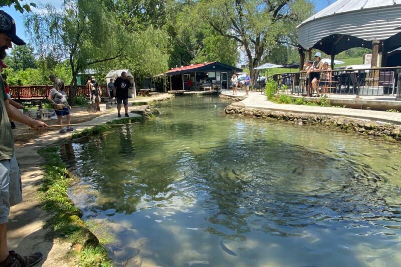 At This Tennessee Fish Camp You Reel in Your Own Trout and Eat It Minutes Later