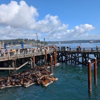 This Oregon Seafood Spot Serves Fresh Crab on a Deck Right Over Yaquina Bay Where Sea Lions Lounge