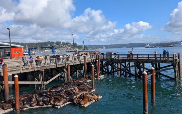 This Oregon Seafood Spot Serves Fresh Crab on a Deck Right Over Yaquina Bay Where Sea Lions Lounge