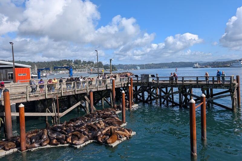 This Oregon Seafood Spot Serves Fresh Crab on a Deck Right Over Yaquina Bay Where Sea Lions Lounge