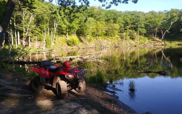 This Massachusetts State Forest Hides Rugged ATV And Dirt Bike Trails Through The Berkshire Hills