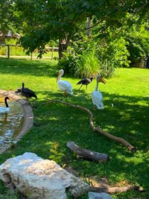 This Family-Friendly Kansas Zoo Is Small Enough to Explore in Hours but Big on Rare Animals