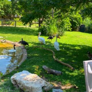 This Family-Friendly Kansas Zoo Is Small Enough to Explore in Hours but Big on Rare Animals