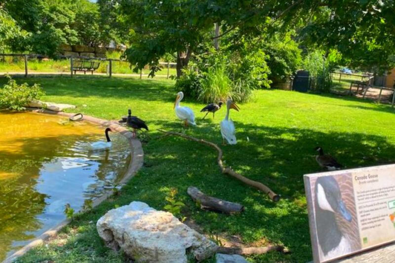 This Family-Friendly Kansas Zoo Is Small Enough to Explore in Hours but Big on Rare Animals