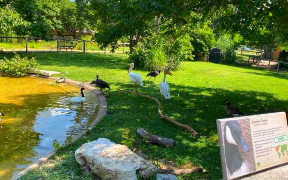 This Family-Friendly Kansas Zoo Is Small Enough to Explore in Hours but Big on Rare Animals