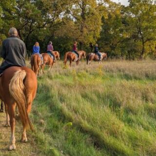 This Minnesota Ranch Lets You Explore 400 Acres On Horseback