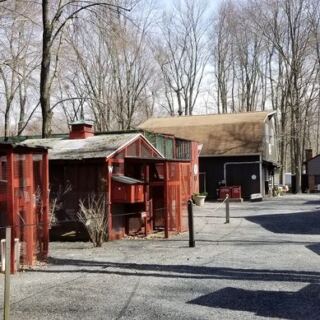 This Millington Bird Rescue Turns A Wooded Walk Into A Close-Up Raptor Encounter