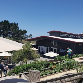 At This Point Reyes Station Cheese Farm You Can Take a Tour and Taste Fresh Cheese