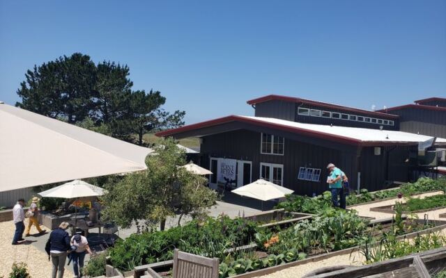 At This Point Reyes Station Cheese Farm You Can Take a Tour and Taste Fresh Cheese