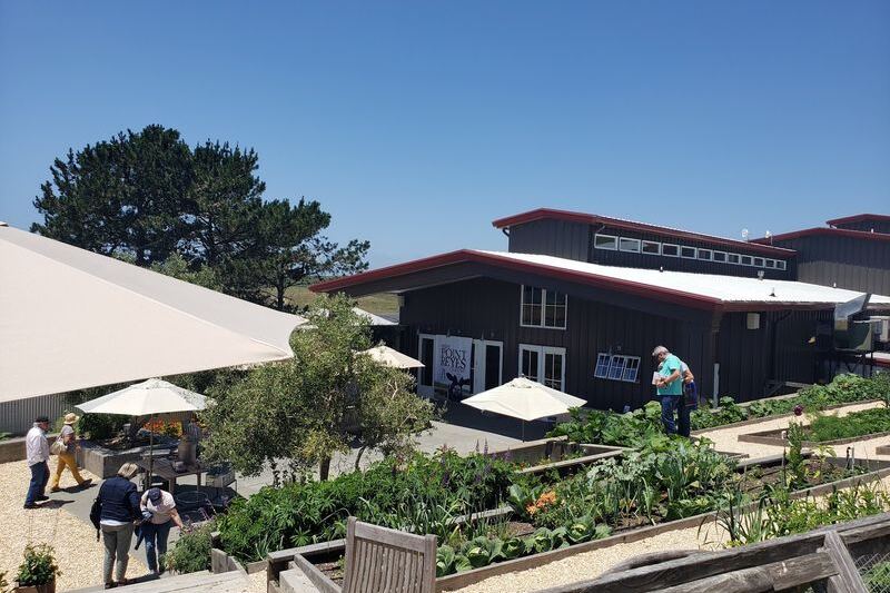 At This Point Reyes Station Cheese Farm You Can Take a Tour and Taste Fresh Cheese