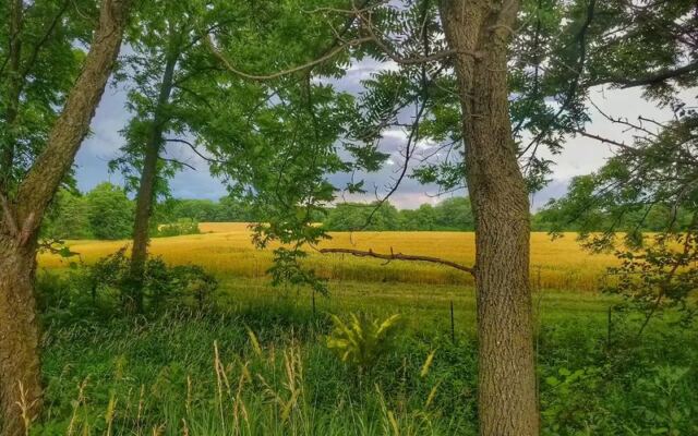 This Old Railroad Near Peoria Has Become A Shaded Illinois Bike Trail Linking Small Towns For Miles